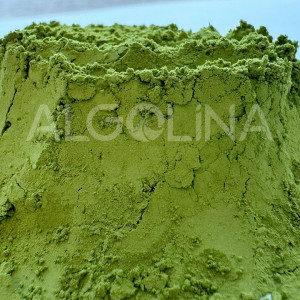 Algolina Matcha Ceremonial Grade A - 2,5 KG Doypack